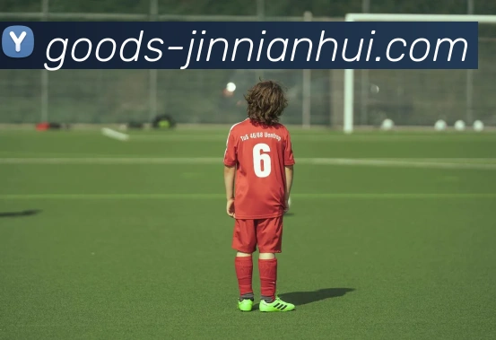 金年会APP 高清赛事图